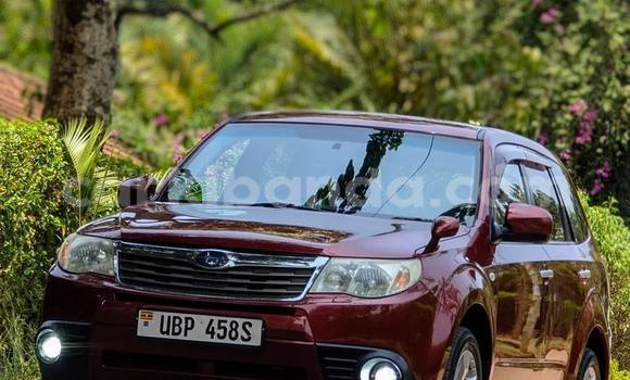 Nunua Ilio tumika Subaru Forester Nyekundu Gari ndani ya Kampala nchini Uganda