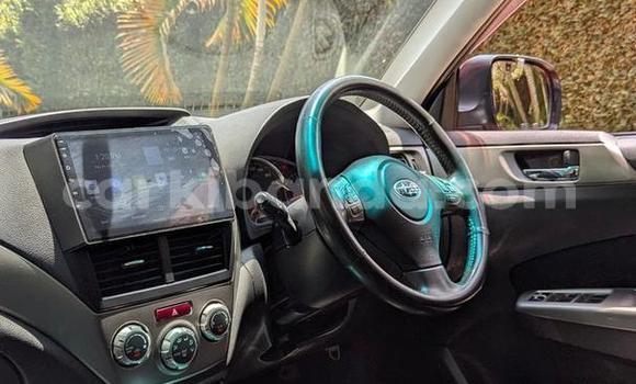Nunua Ilio tumika Subaru Forester Nyekundu Gari ndani ya Kampala nchini Uganda Nunua Ilio tumika Subaru Forester Nyekundu Gari ndani ya Kampala nchini Uganda