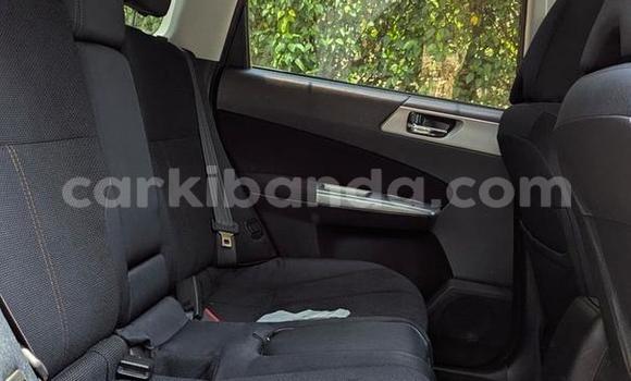 Nunua Ilio tumika Subaru Forester Nyekundu Gari ndani ya Kampala nchini Uganda Nunua Ilio tumika Subaru Forester Nyekundu Gari ndani ya Kampala nchini Uganda