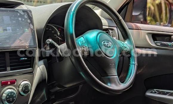 Nunua Ilio tumika Subaru Forester Nyekundu Gari ndani ya Kampala nchini Uganda Nunua Ilio tumika Subaru Forester Nyekundu Gari ndani ya Kampala nchini Uganda