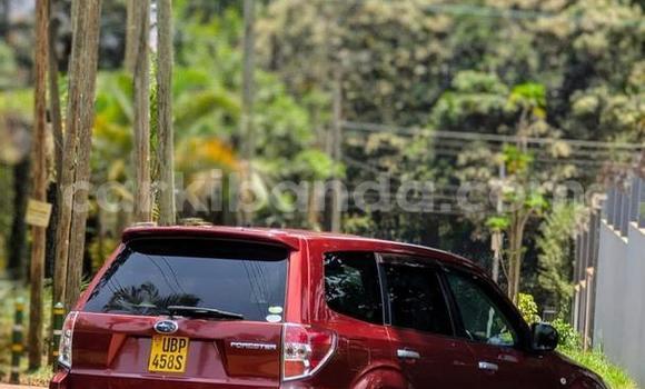 Nunua Ilio tumika Subaru Forester Nyekundu Gari ndani ya Kampala nchini Uganda Nunua Ilio tumika Subaru Forester Nyekundu Gari ndani ya Kampala nchini Uganda