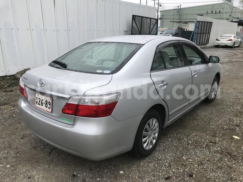 Big with watermark nzt2603017428pic1515857l