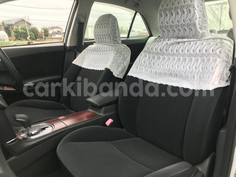 Big with watermark nzt2603017428pic11015857l