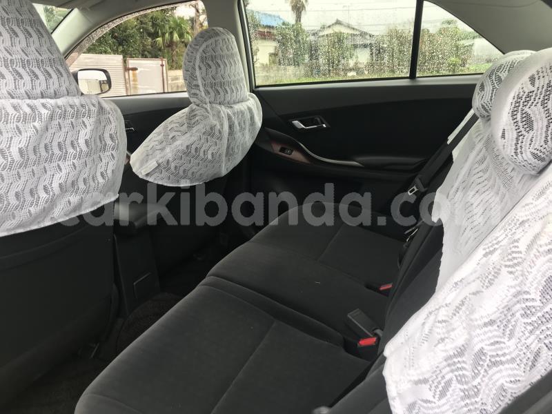 Big with watermark nzt2603017428pic11115857l