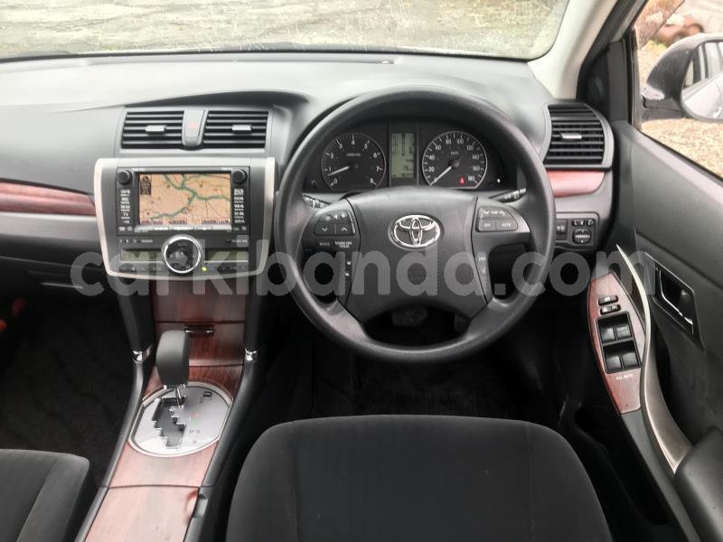 Big with watermark nzt2603017428pic11815857l