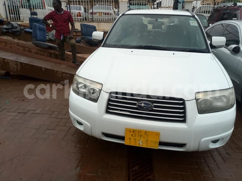 Big with watermark 50218566 113706176380214 2655447196714926080 n