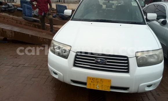 Buy Used Subaru Forester White Car in Kampala in Uganda Buy Used Subaru Forester White Car in Kampala in Uganda