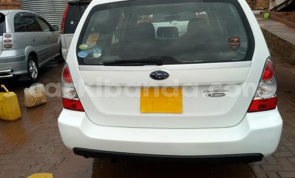 Buy Used Subaru Forester White Car in Kampala in Uganda Buy Used Subaru Forester White Car in Kampala in Uganda