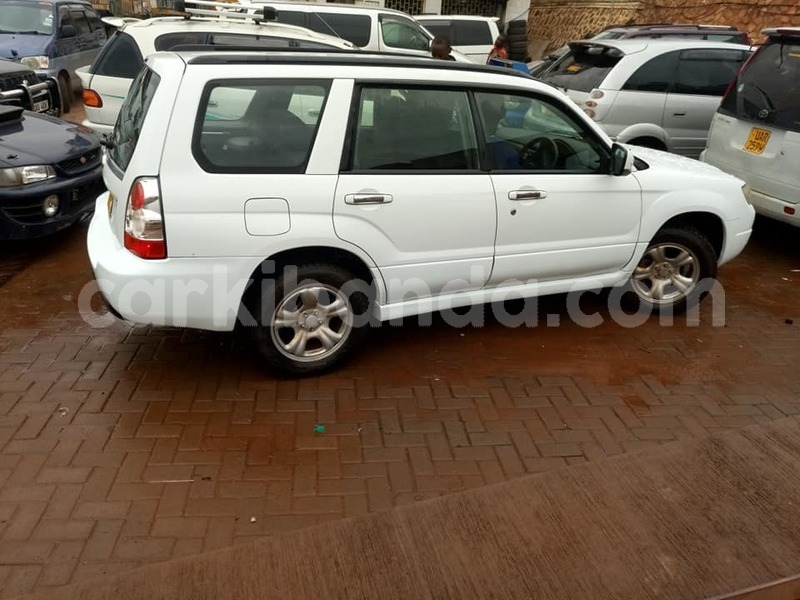 Big with watermark 49135406 113706206380211 3297327868668805120 n