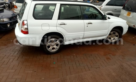 Buy Used Subaru Forester White Car in Kampala in Uganda Buy Used Subaru Forester White Car in Kampala in Uganda