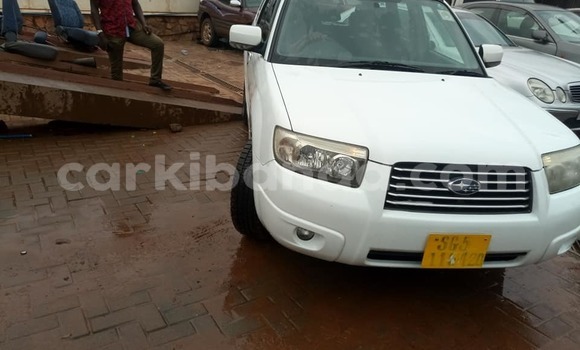 Buy Used Subaru Forester White Car in Kampala in Uganda Buy Used Subaru Forester White Car in Kampala in Uganda
