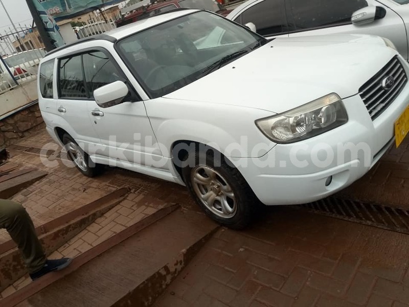 Big with watermark 50416147 113706093046889 5435818181568495616 n