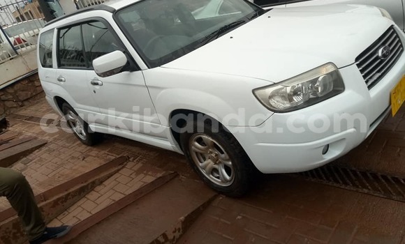 Buy Used Subaru Forester White Car in Kampala in Uganda Buy Used Subaru Forester White Car in Kampala in Uganda