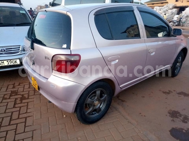 Big with watermark 50436412 113154363102062 4831046581102837760 n