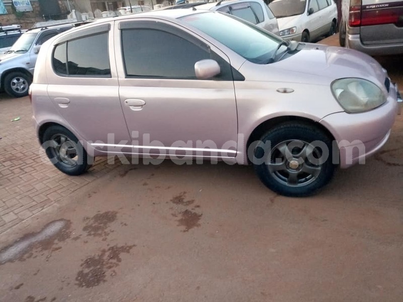 Big with watermark 50211510 113154273102071 3496416933031444480 n