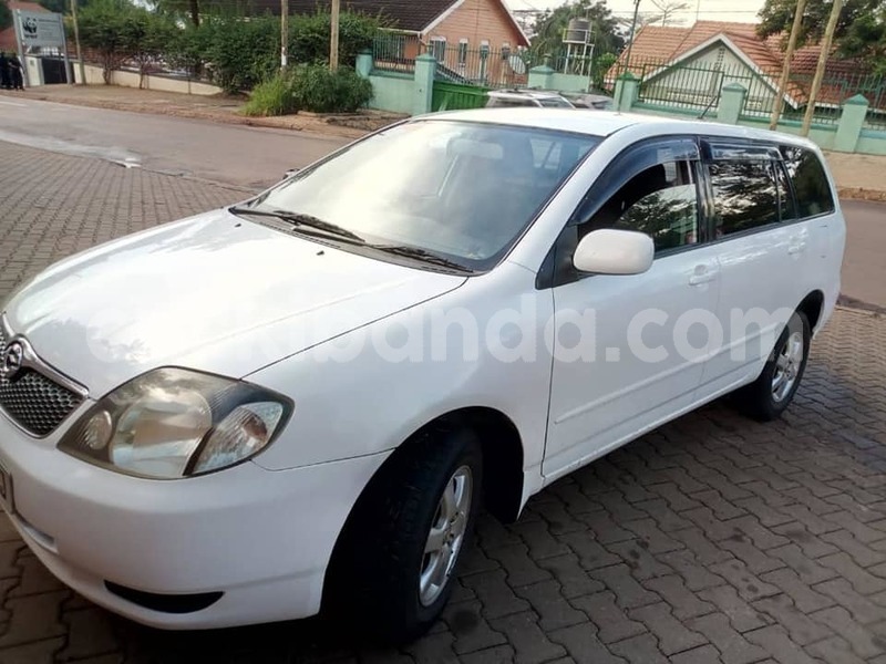 Big with watermark 49371937 111773579906807 2733752692563247104 n