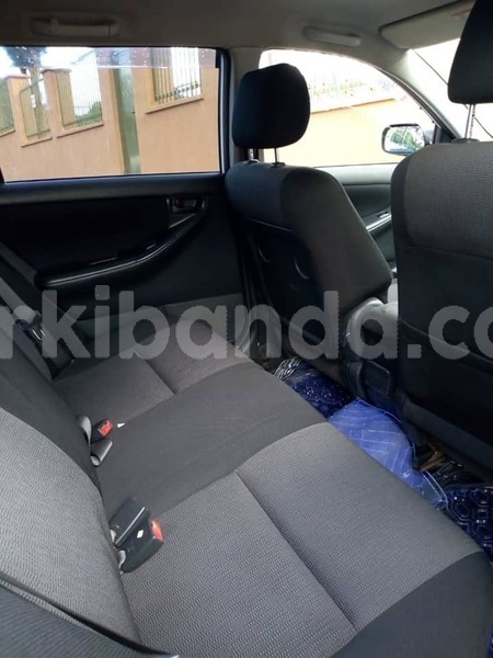 Big with watermark 49808108 111773506573481 4928937462828367872 n