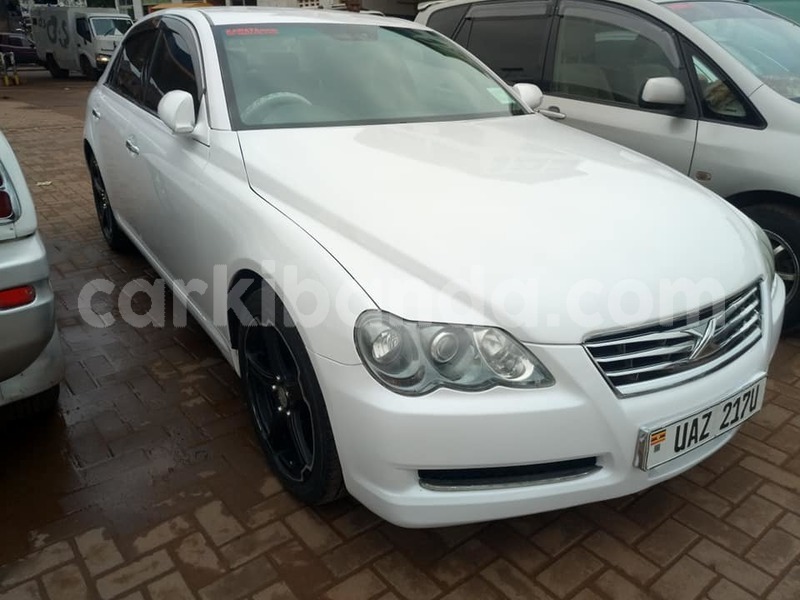 Big with watermark 50343467 2171703413148223 7976520460772835328 n