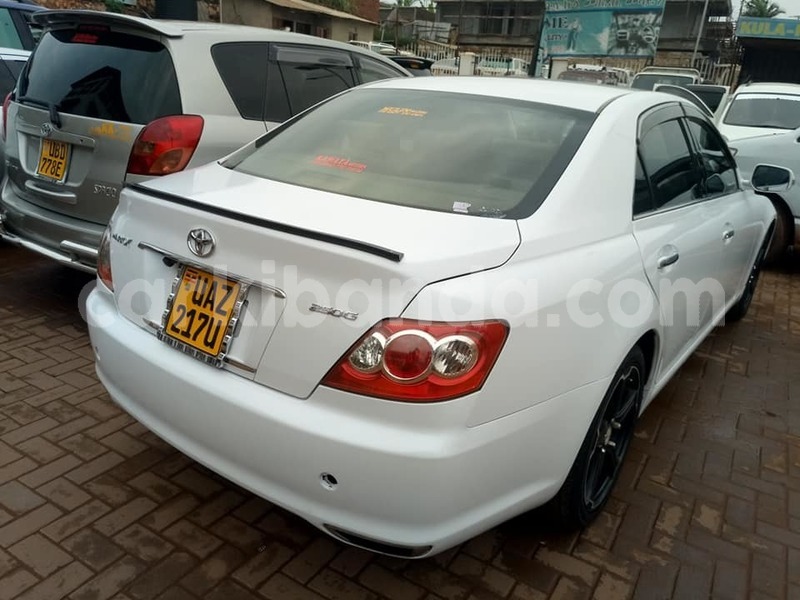 Big with watermark 50651999 2171703189814912 8337561343024431104 n