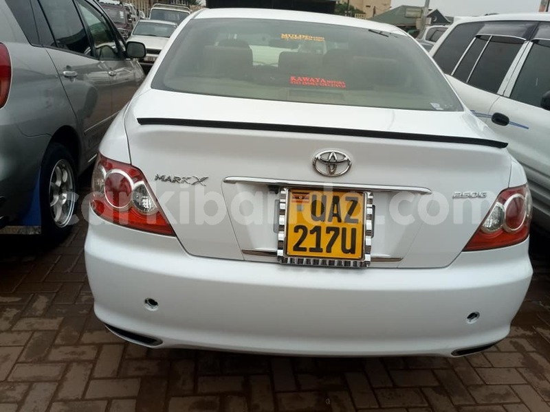 Big with watermark 50309748 2171703103148254 7024521563542126592 n