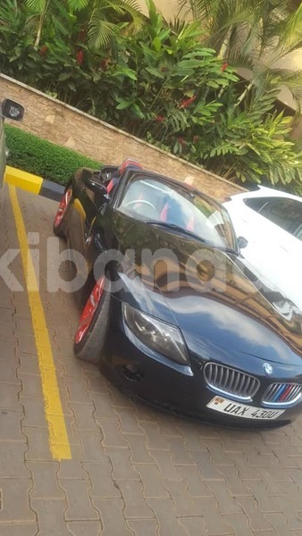 Big with watermark 50177641 2168565386795359 1236191974059409408 n