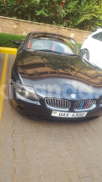 Big with watermark 50051894 2168565400128691 5455736856907874304 n