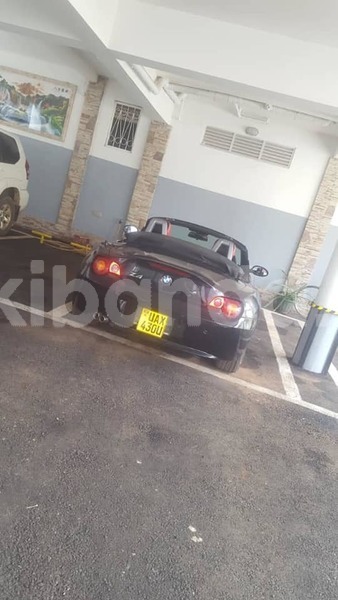 Big with watermark 50565950 2168565450128686 5625405519846965248 n