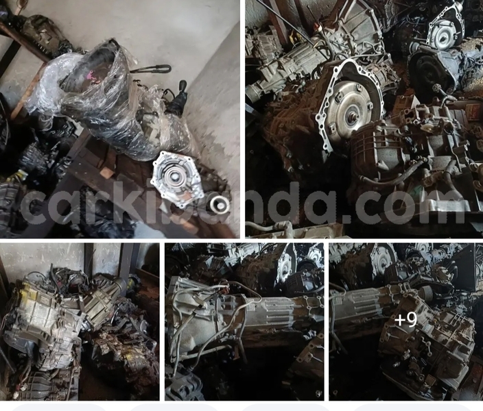 Big with watermark 1002199131