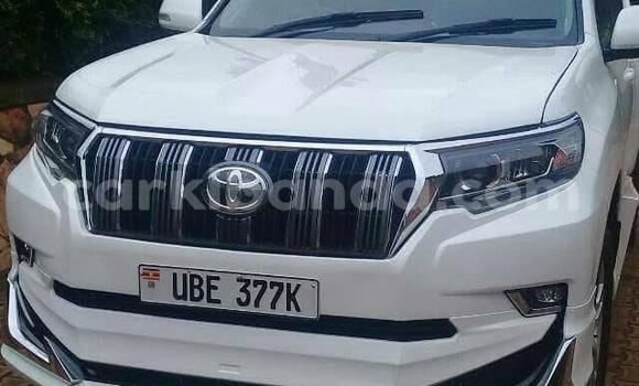 Buy Used Toyota Land Cruiser Prado White Car in Kampala in Uganda Buy Used Toyota Land Cruiser Prado White Car in Kampala in Uganda