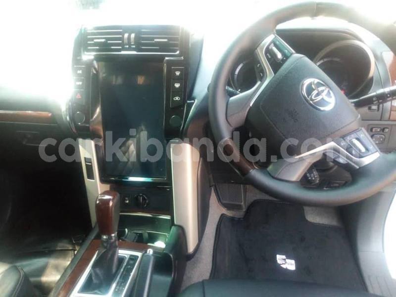 Big with watermark 50518203 226663741616382 8563187635919519744 n