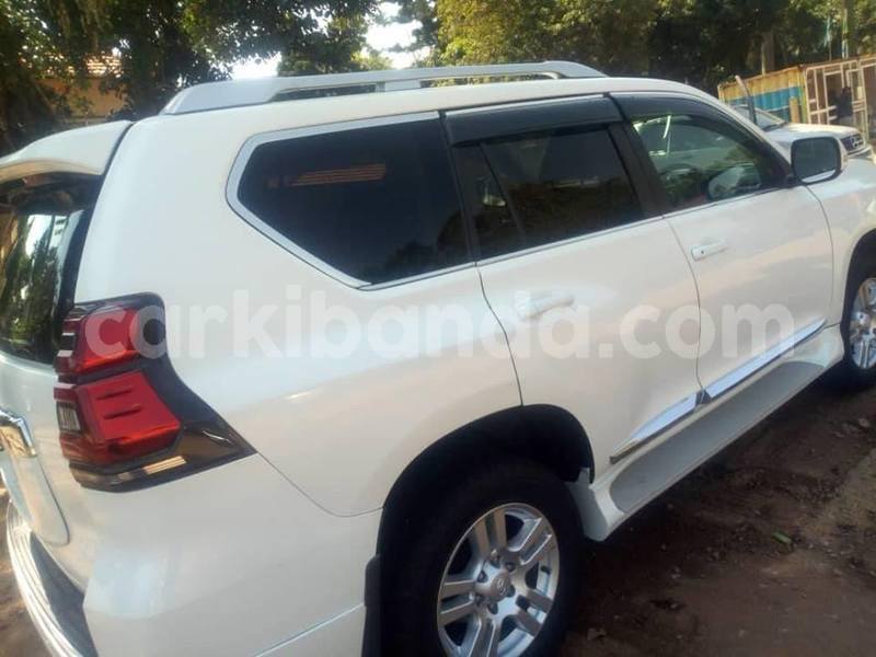 Big with watermark 50623453 226663764949713 3834677300155121664 n