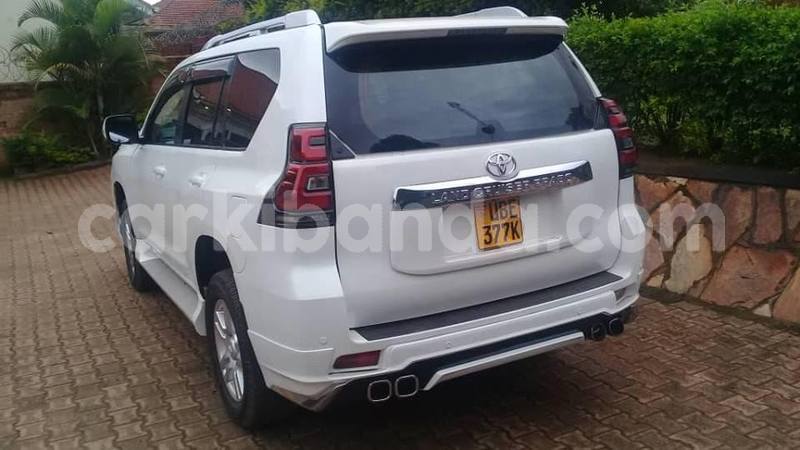 Big with watermark 50422558 226663734949716 1687960286637588480 n