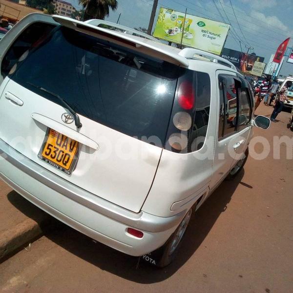 Big with watermark 50068676 224643668485056 3081081466520600576 n