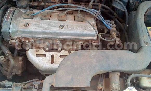 Buy Used Toyota Raum White Car in Kampala in Uganda Buy Used Toyota Raum White Car in Kampala in Uganda