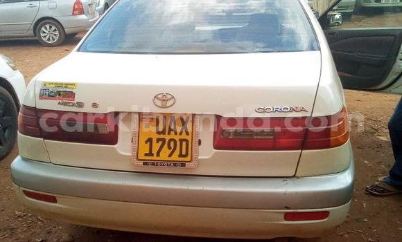Buy Used Toyota Premio White Car in Kampala in Uganda Buy Used Toyota Premio White Car in Kampala in Uganda