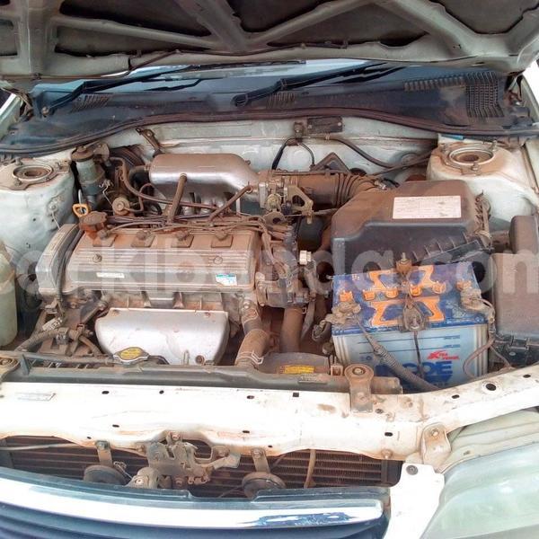 Big with watermark 50223129 224055088543914 7403949492845674496 n