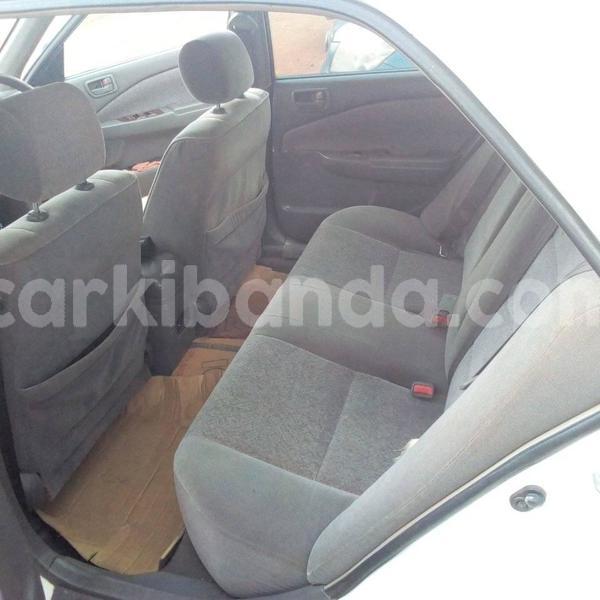 Big with watermark 50658265 224055055210584 9222544594225332224 n