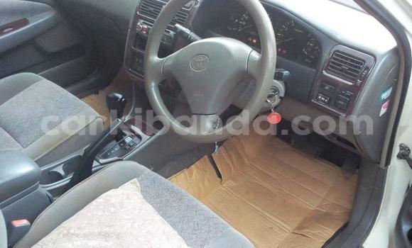 Buy Used Toyota Premio White Car in Kampala in Uganda Buy Used Toyota Premio White Car in Kampala in Uganda