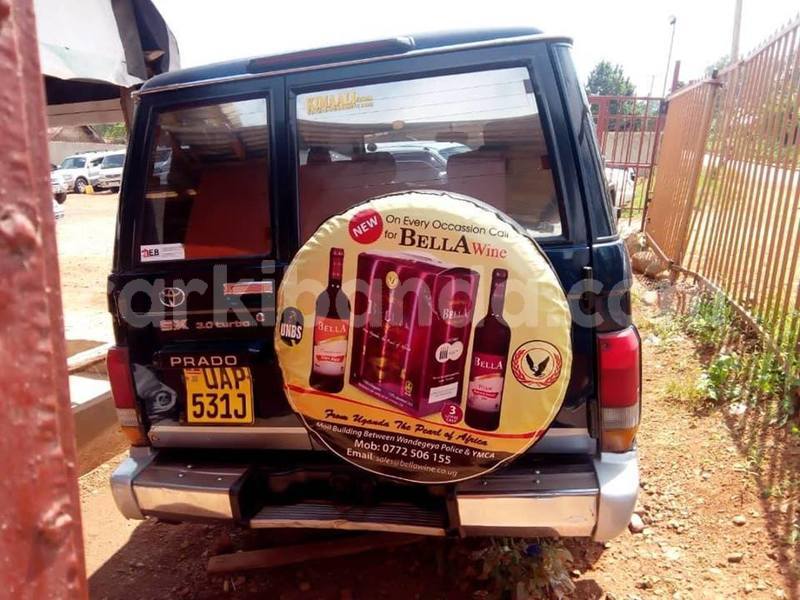 Big with watermark 50329093 223535225262567 5551849879870898176 n