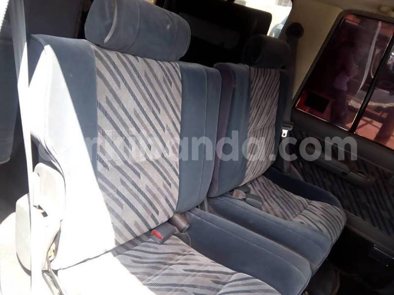 Big with watermark 50502914 223535358595887 827182702317797376 n