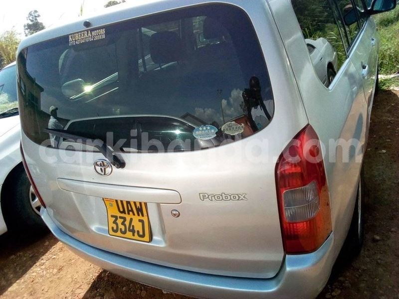 Big with watermark 49348323 220935032189253 2150306828787908608 n