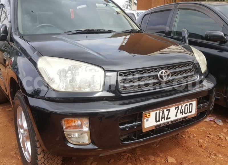 Big with watermark ravv1