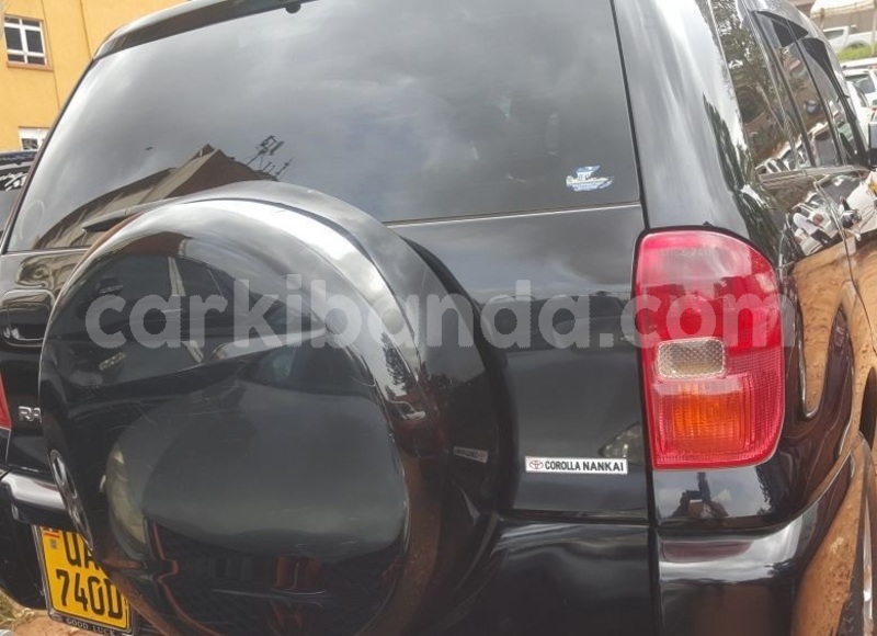 Big with watermark ravv2