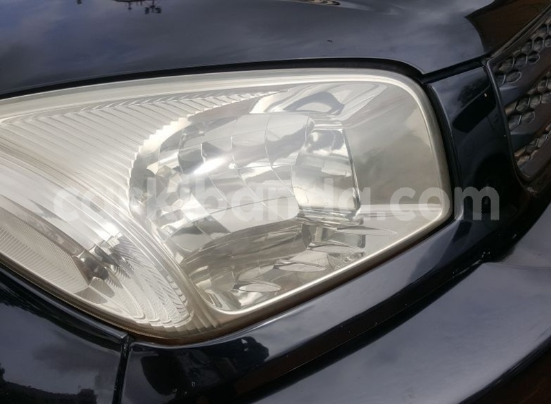 Big with watermark ravv4