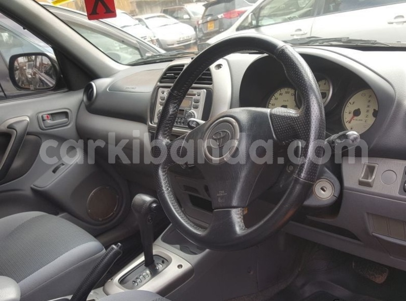 Big with watermark ravv5