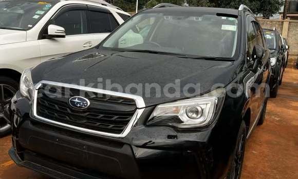 Acheter Occasion Voiture Subaru Forester Noir à Kampala, Ouganda Acheter Occasion Voiture Subaru Forester Noir à Kampala, Ouganda