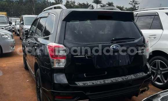 Acheter Occasion Voiture Subaru Forester Noir à Kampala, Ouganda Acheter Occasion Voiture Subaru Forester Noir à Kampala, Ouganda