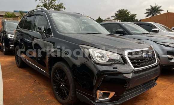 Acheter Occasion Voiture Subaru Forester Noir à Kampala, Ouganda Acheter Occasion Voiture Subaru Forester Noir à Kampala, Ouganda