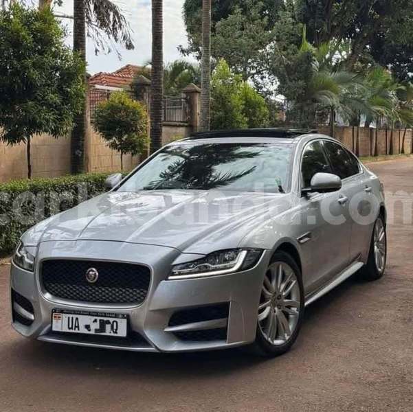 Big with watermark jaguar xf uganda kampala 24254