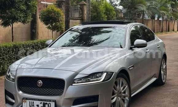 Buy Used Jaguar XF Other Car in Kampala in Uganda